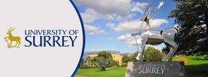 UNIVERSITY OF SURREY
