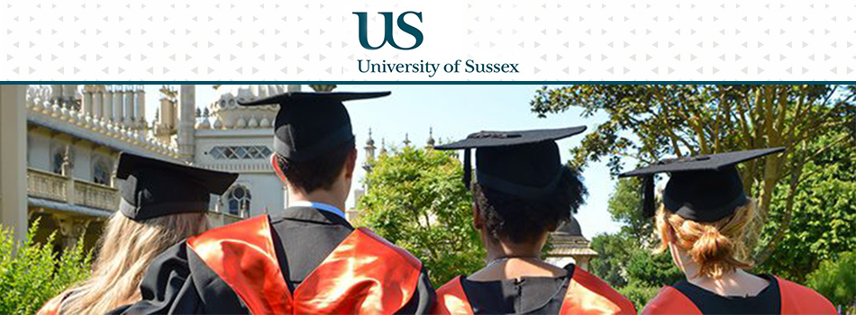 UNIVERSITY OF SUSSEX UNIVERSITY OF SUSSEX